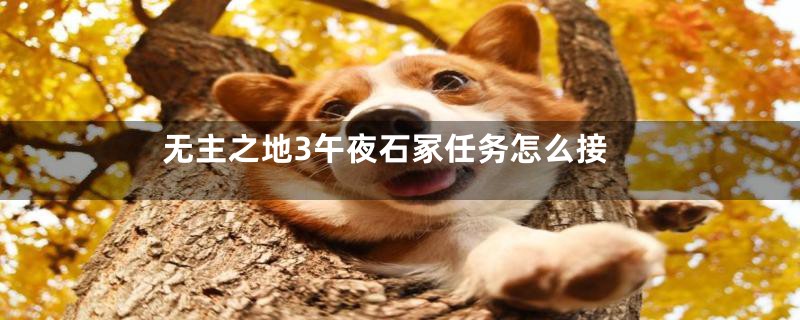无主之地3午夜石冢任务怎么接