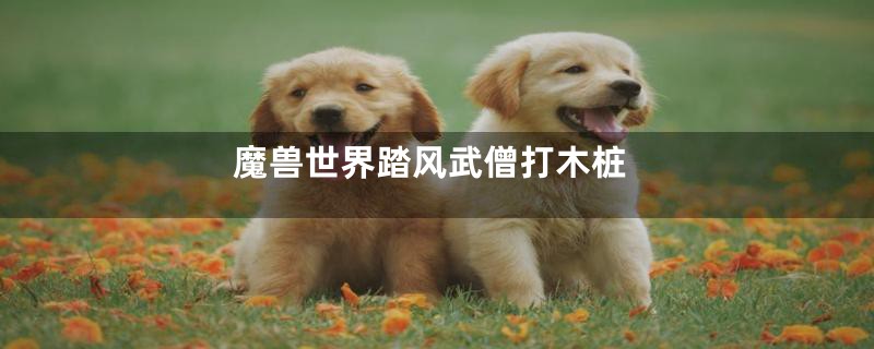魔兽世界踏风武僧打木桩