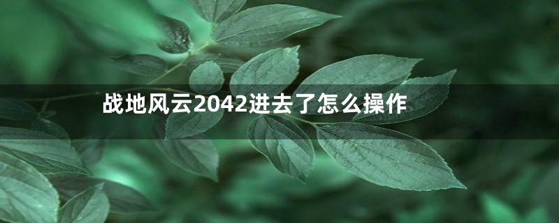 战地风云2042进去了怎么操作