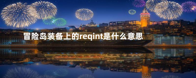 冒险岛装备上的reqint是什么意思