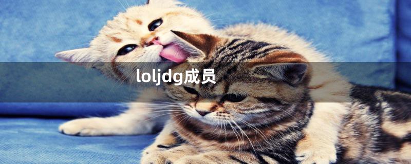 loljdg成员