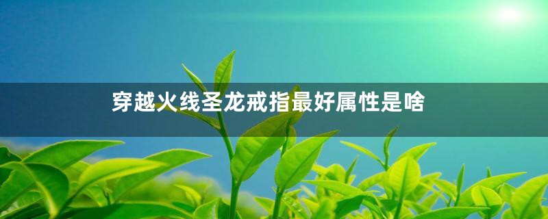 穿越火线圣龙戒指最好属性是啥