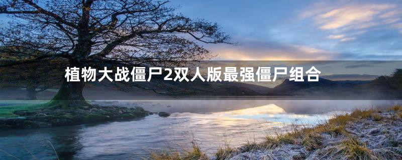 植物大战僵尸2双人版最强僵尸组合
