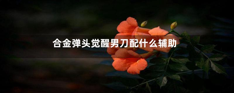 合金弹头觉醒男刀配什么辅助