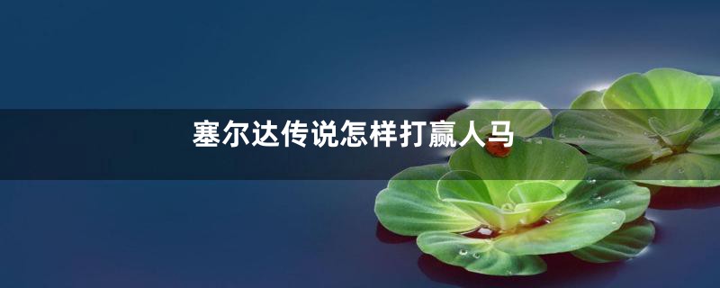 塞尔达传说怎样打赢人马
