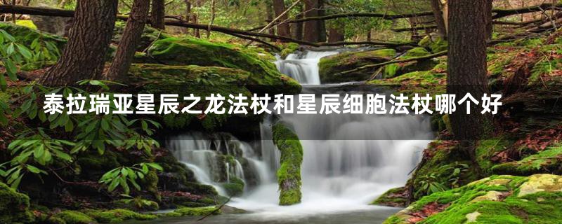 泰拉瑞亚星辰之龙法杖和星辰细胞法杖哪个好