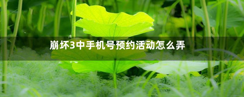 崩坏3中手机号预约活动怎么弄