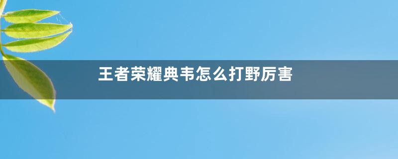 王者荣耀典韦怎么打野厉害