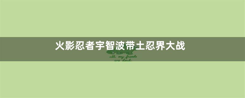 火影忍者宇智波带土忍界大战