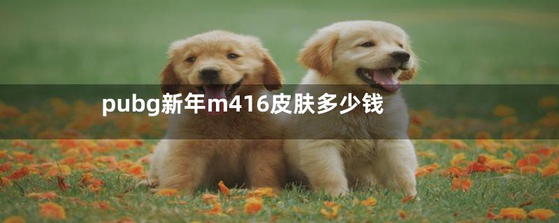 pubg新年m416皮肤多少钱