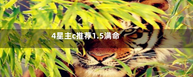 4星主c推荐1.5满命