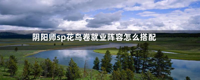 阴阳师sp花鸟卷就业阵容怎么搭配