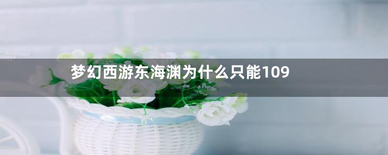 梦幻西游东海渊为什么只能109