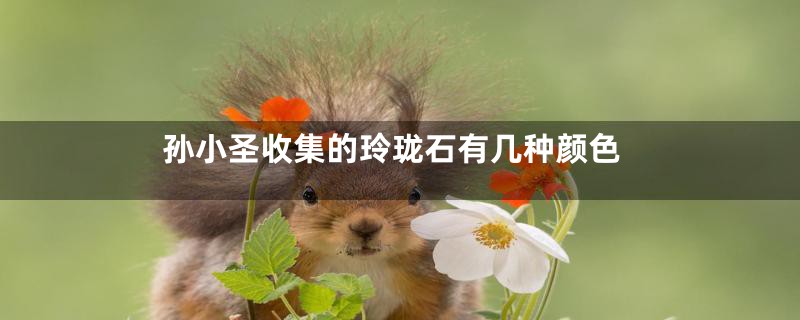 孙小圣收集的玲珑石有几种颜色