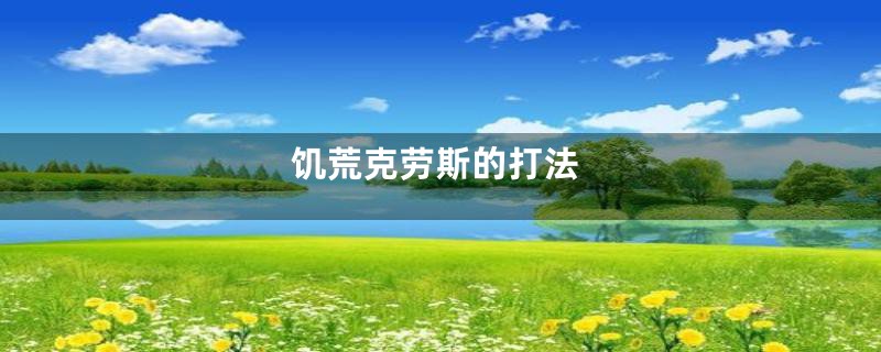 饥荒克劳斯的打法
