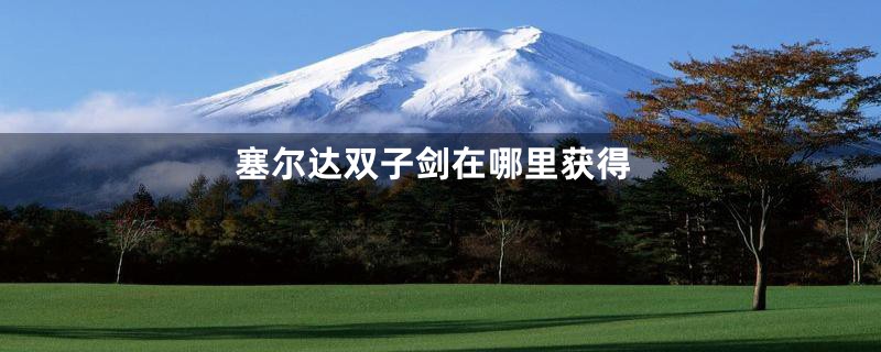 塞尔达双子剑在哪里获得