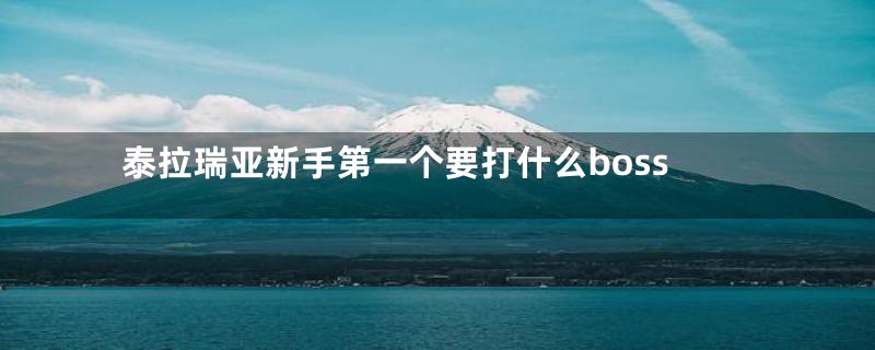 泰拉瑞亚新手第一个要打什么boss