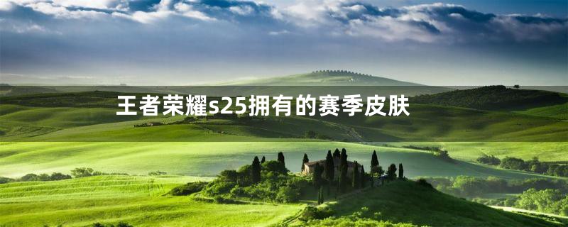 王者荣耀s25拥有的赛季皮肤