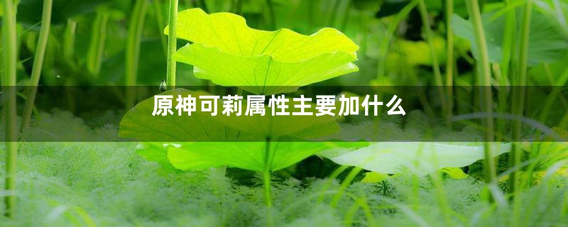 原神可莉属性主要加什么