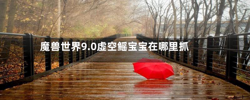 魔兽世界9.0虚空鳐宝宝在哪里抓