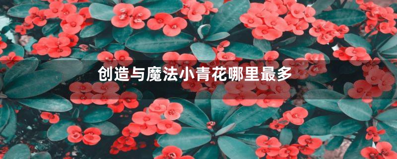 创造与魔法小青花哪里最多