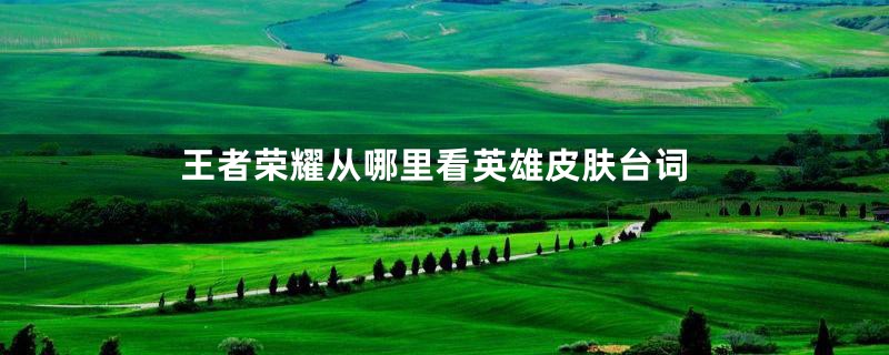 王者荣耀从哪里看英雄皮肤台词