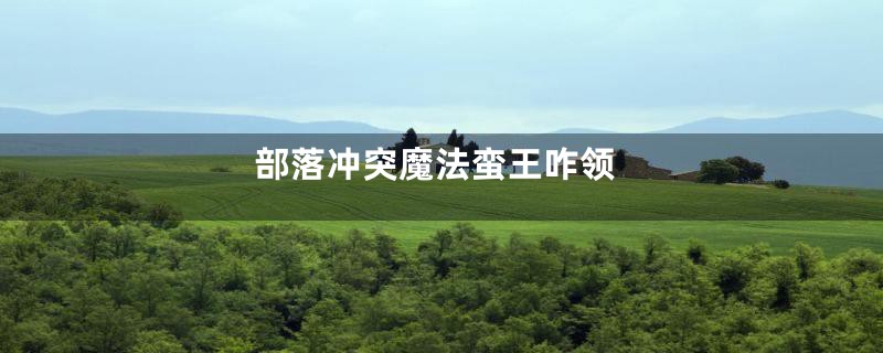 部落冲突魔法蛮王咋领