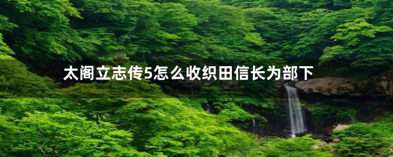 太阁立志传5怎么收织田信长为部下