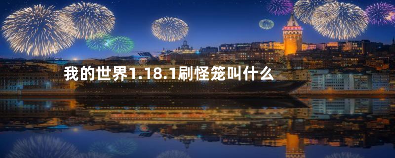 我的世界1.18.1刷怪笼叫什么