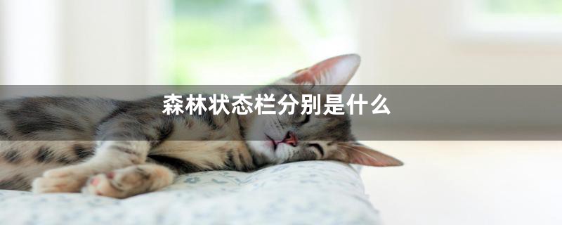 森林状态栏分别是什么