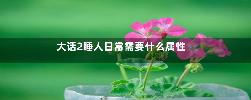 大话2睡人日常需要什么属性