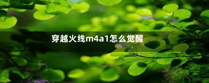 穿越火线m4a1怎么觉醒