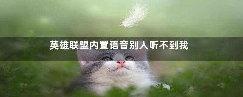 英雄联盟内置语音别人听不到我