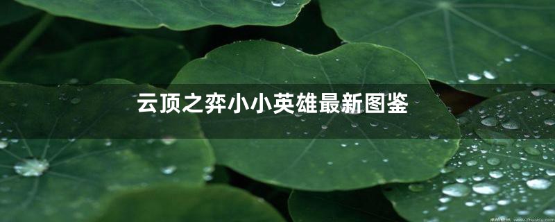 云顶之弈小小英雄最新图鉴