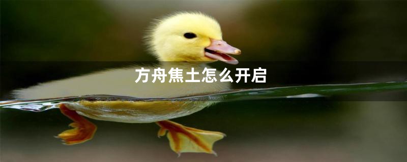 方舟焦土怎么开启