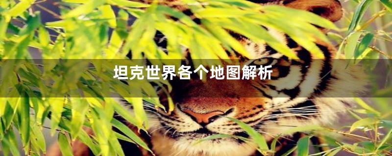 坦克世界各个地图解析