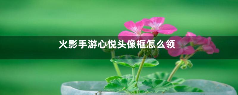 火影手游心悦头像框怎么领