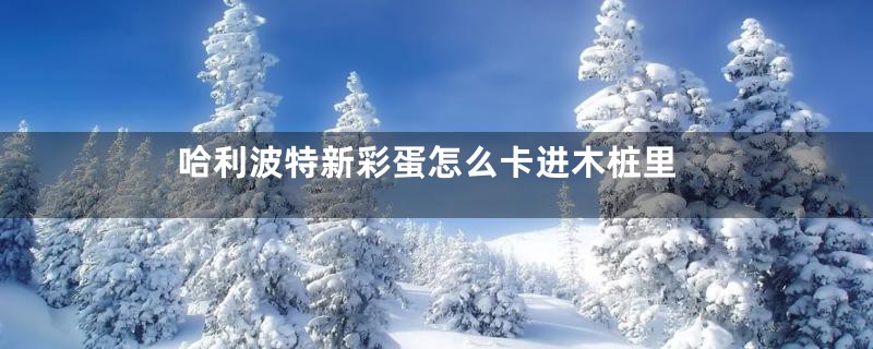 哈利波特新彩蛋怎么卡进木桩里