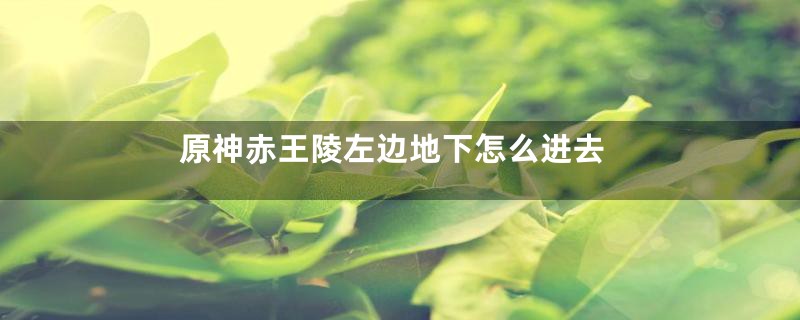 原神赤王陵左边地下怎么进去