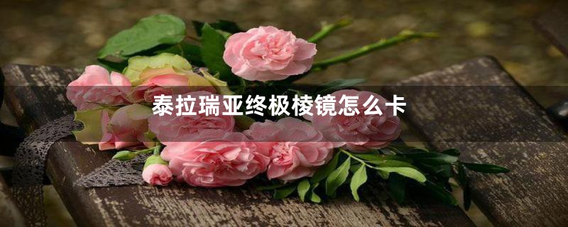 泰拉瑞亚终极棱镜怎么卡