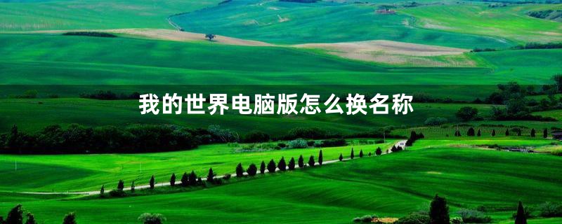 我的世界电脑版怎么换名称