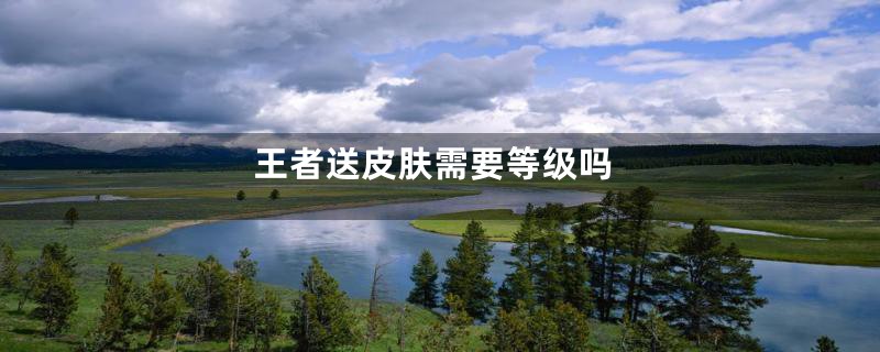 王者送皮肤需要等级吗