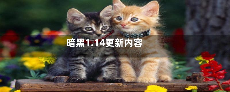 暗黑1.14更新内容