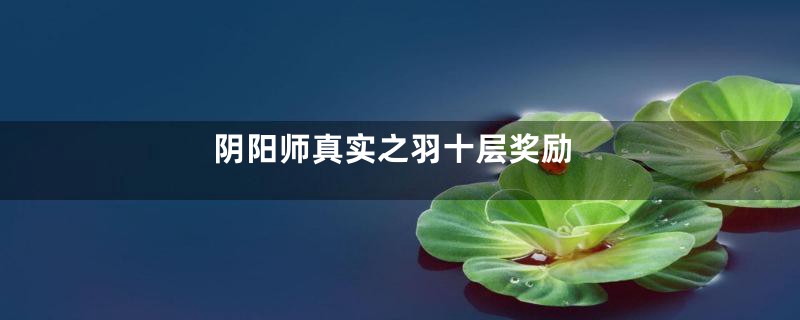 阴阳师真实之羽十层奖励