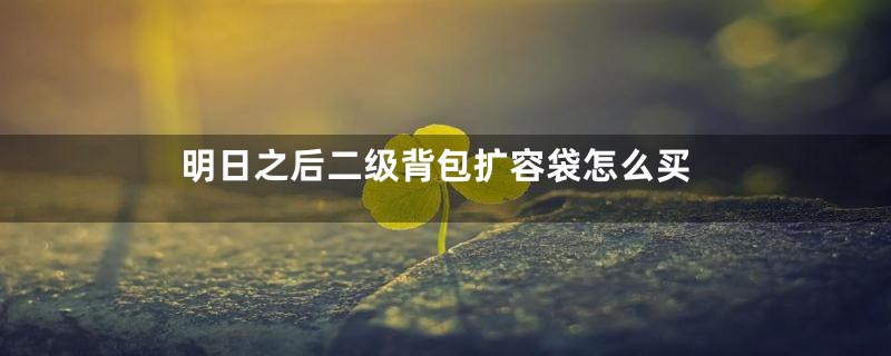 明日之后二级背包扩容袋怎么买