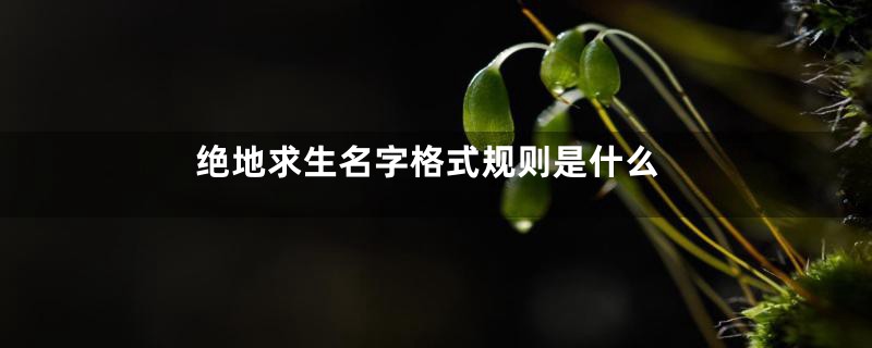 绝地求生名字格式规则是什么