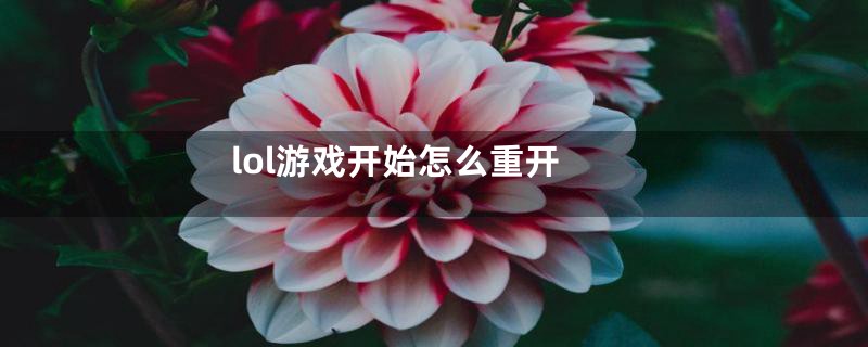 lol游戏开始怎么重开