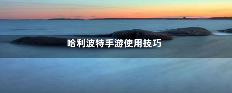 哈利波特手游使用技巧