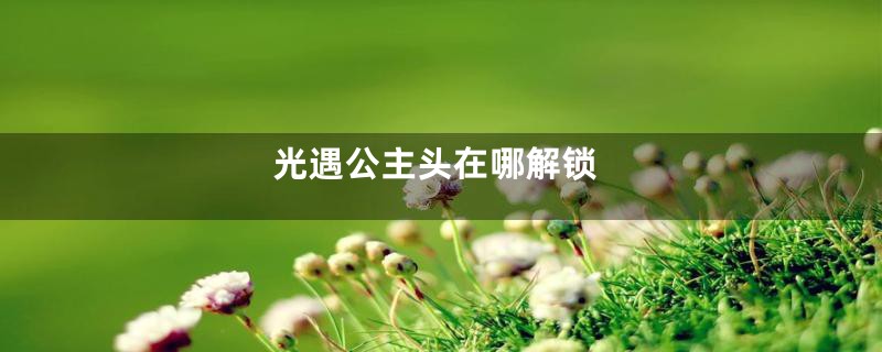 光遇公主头在哪解锁