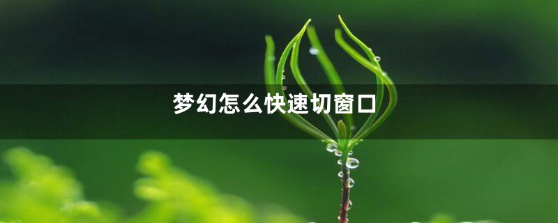 梦幻怎么快速切窗口
